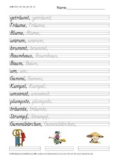 DSS_2S_Bu_um_Nr_02.pdf